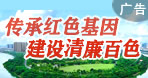 百色市紀律檢查委員會